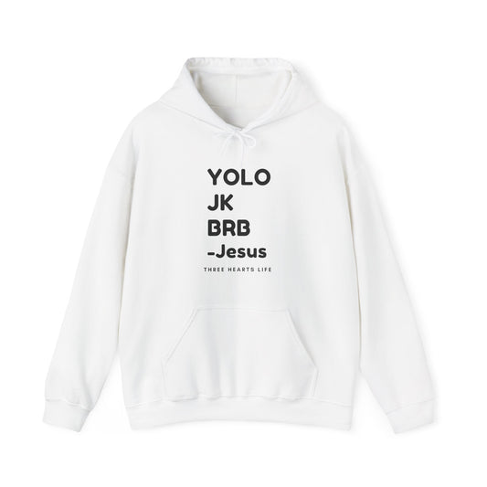 YOLO Hooded Sweatshirt - Neutral Colors